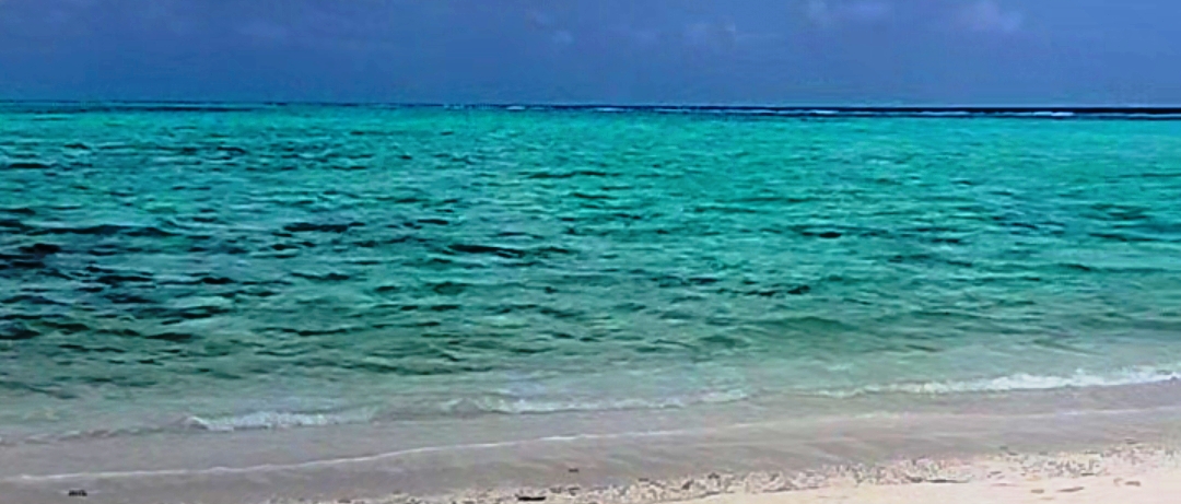 The Ocean’s Wisdom: A Call to Humanity