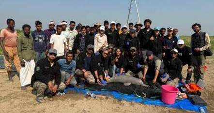 Ganges River Dolphin Tagging Marks Conservation Milestone