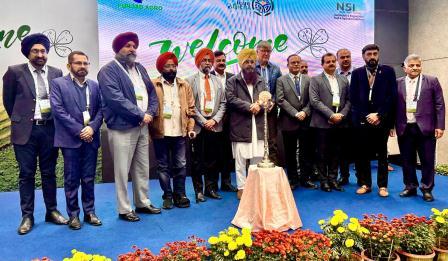 How Alfalfa Cultivation Enhances Livestock Health in Punjab