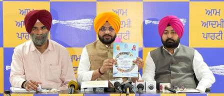 Transforming Rural Punjab: AAP’s Commitment to Development